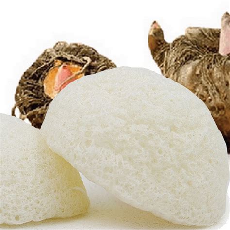 Eponge Konjac Nature
