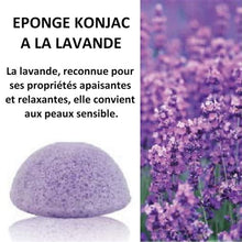 Charger l&#39;image dans la galerie, Eponge Konjac à la Lavande
