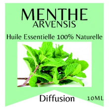 Charger l&#39;image dans la galerie, Huiles Essentielles Menthe Arvensis
